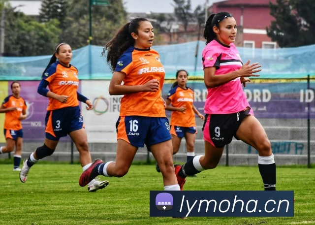 完美体育在线登录入口APP 封面图